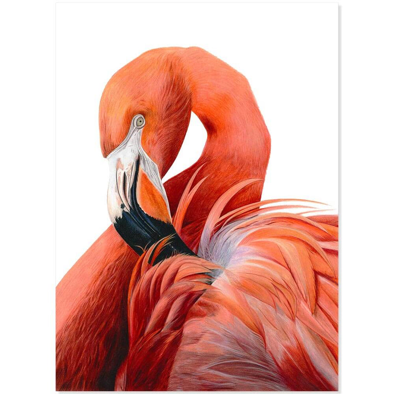 Flamingo (originele tekening) - Catch Utrecht