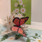 Margrietjes - Pop - Up kaart - Catch Utrecht