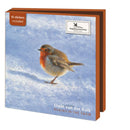 Robins in the Snow, Elwin van der Kolk, Vogelbescherming (incl. sluitstickers) - Catch Utrecht