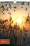 Stillness, Saskia Boelsums, verjaardagskalender - Catch Utrecht